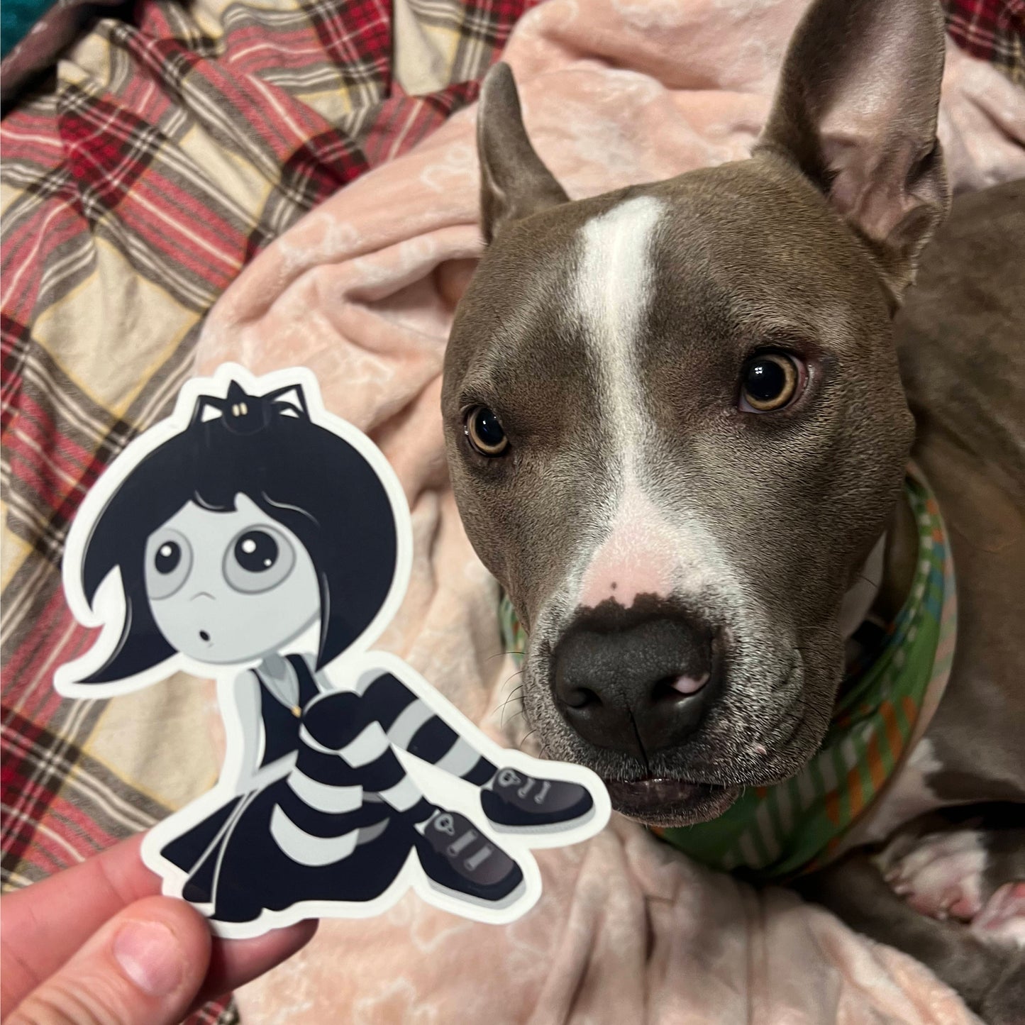 Lead Me Not sticker
